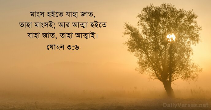 যোহন ৩:৬
