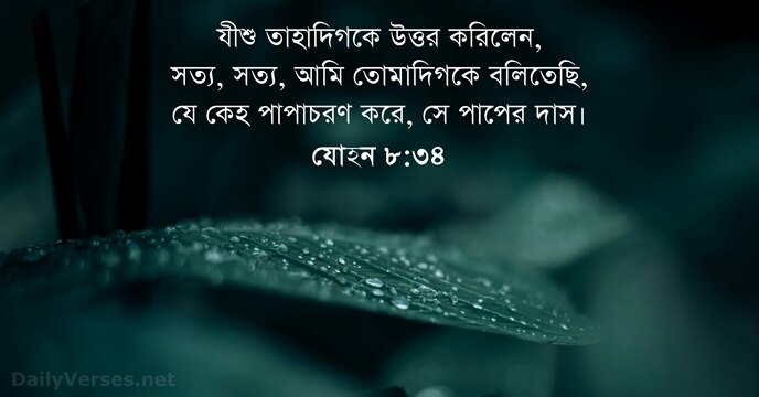 যোহন ৮:৩৪