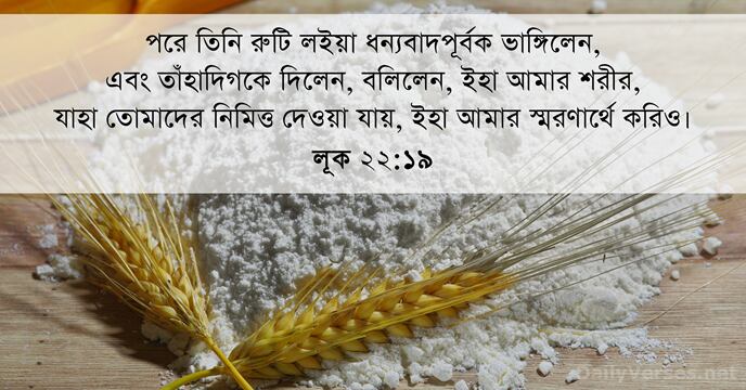 লূক ২২:১৯