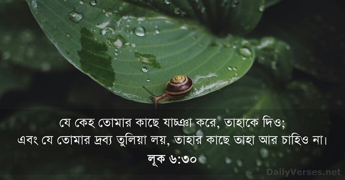 লূক ৬:৩০