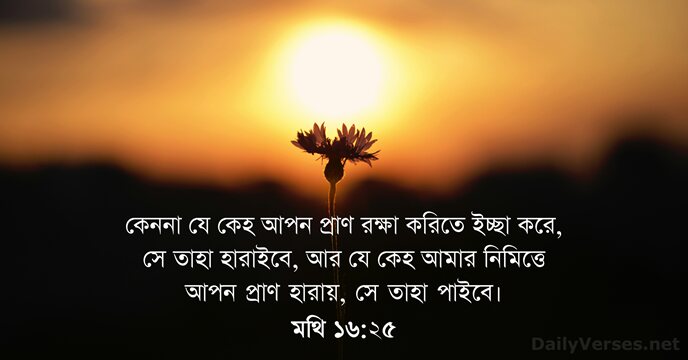 মথি ১৬:২৫