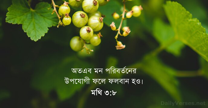 মথি ৩:৮