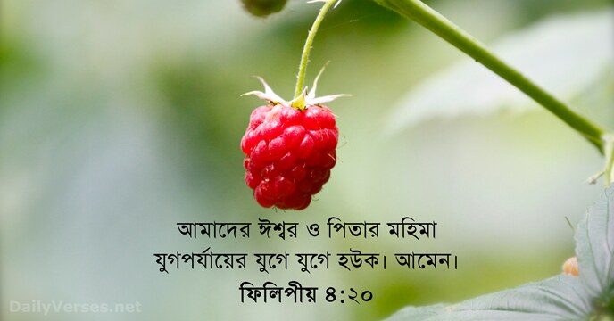 আমাদের ঈশ্বর ও পিতার মহিমা যুগপর্যায়ের যুগে যুগে হউক। আমেন। ফিলিপীয় ৪:২০
