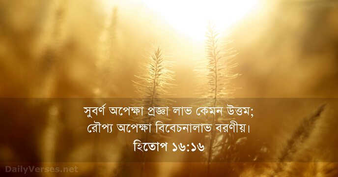 হিতোপ ১৬:১৬