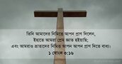 ১ যোহন ৩:১৬