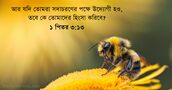 ১ পিতর ৩:১৩