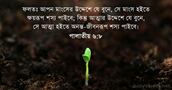 গালাতীয় ৬:৮