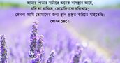 যোহন ১৪:২