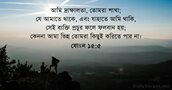 যোহন ১৫:৫