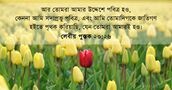 লেবীয় পুস্তক ২০:২৬