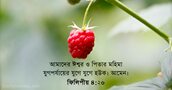 ফিলিপীয় ৪:২০