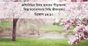হিতোপ ১৩:১২