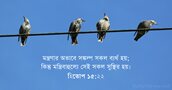 হিতোপ ১৫:২২