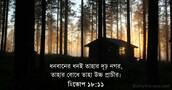হিতোপ ১৮:১১