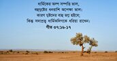 গীত ৩৭:১৬-১৭