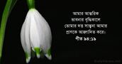 গীত ৯৪:১৯