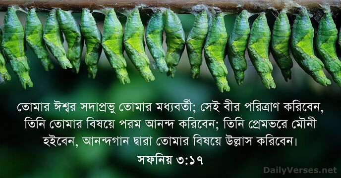 তোমার ঈশ্বর সদাপ্রভু তোমার মধ্যবর্তী; সেই বীর পরিত্রাণ করিবেন, তিনি তোমার বিষয়ে… সফনিয় ৩:১৭