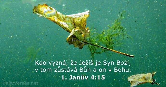 Kdo vyzná, že Ježíš je Syn Boží, v tom zůstává Bůh a… 1. Janův 4:15