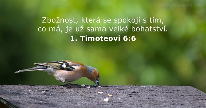 Zbožnost, která se spokojí s tím, co má, je už sama velké bohatství. 1. Timoteovi 6:6