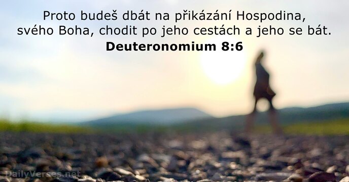 Deuteronomium 8:6