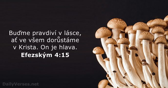 Efezským 4:15