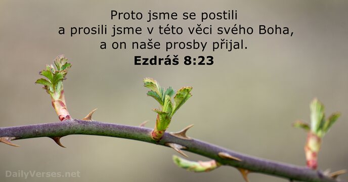 Ezdráš 8:23