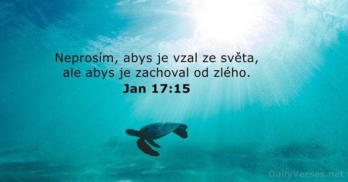 Jan 17:15