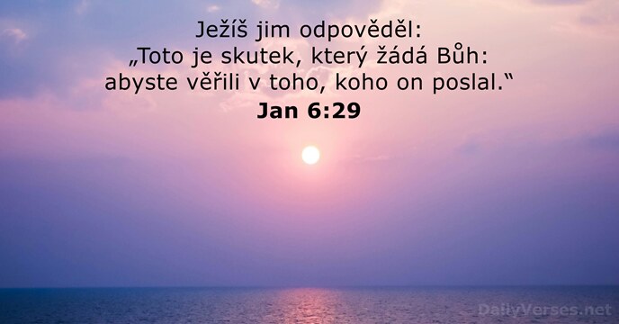 Jan 6:29