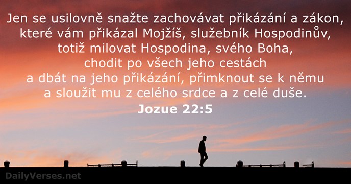 Jozue 22:5