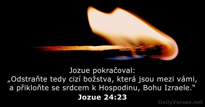 Jozue 24:23