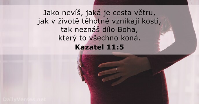 Kazatel 11:5