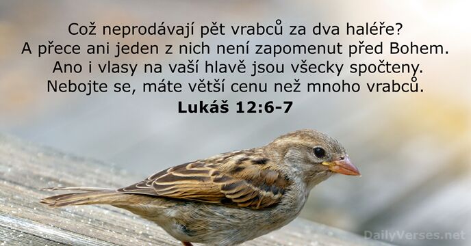 Lukáš 12:6-7