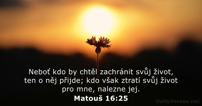 Matouš 16:25