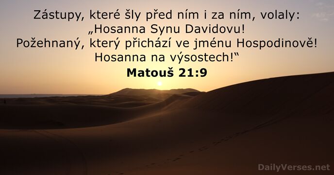 Zástupy, které šly před ním i za ním, volaly: „Hosanna Synu Davidovu… Matouš 21:9