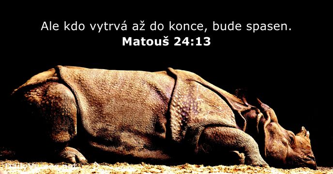 Matouš 24:13