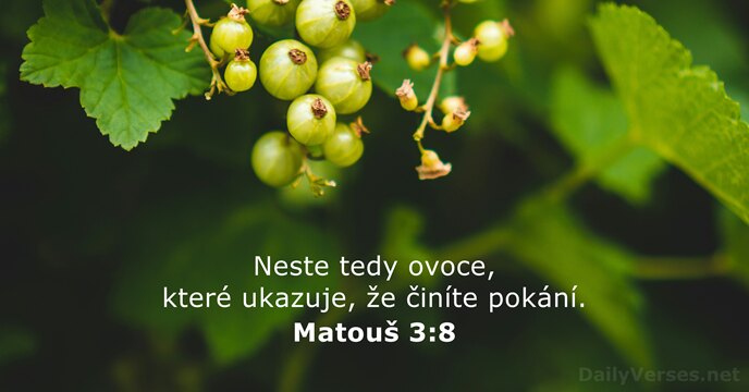 Matouš 3:8