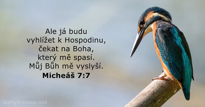 Ale já budu vyhlížet k Hospodinu, čekat na Boha, který mě spasí… Micheáš 7:7