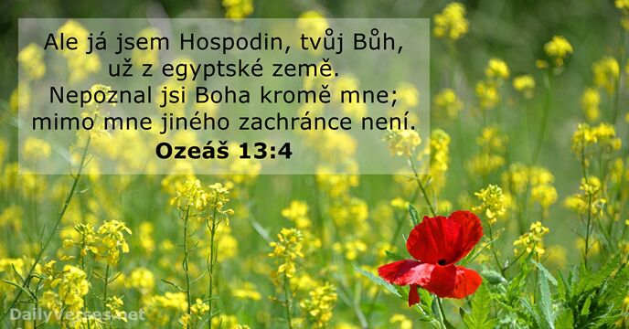 Ale já jsem Hospodin, tvůj Bůh, už z egyptské země. Nepoznal jsi… Ozeáš 13:4