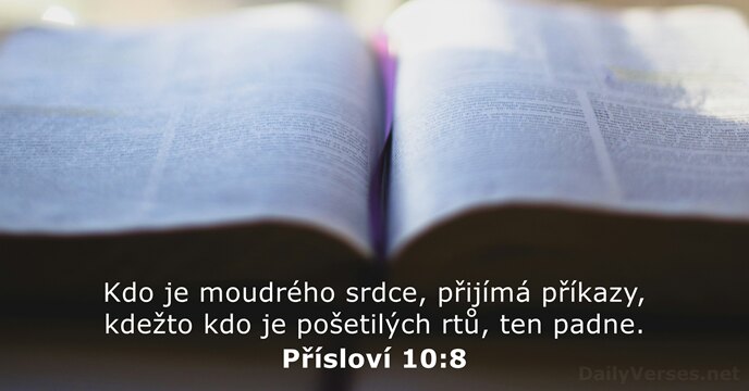 Přísloví 10:8