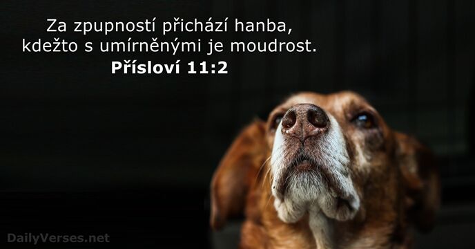 Přísloví 11:2