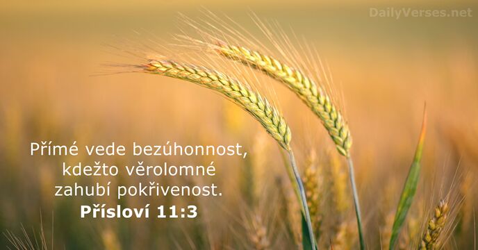 Přísloví 11:3