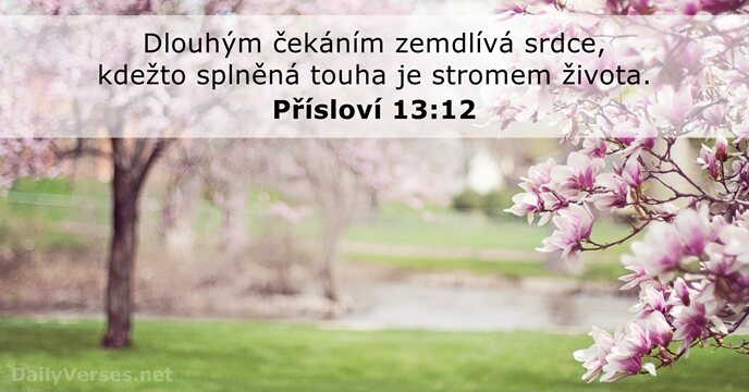 Přísloví 13:12