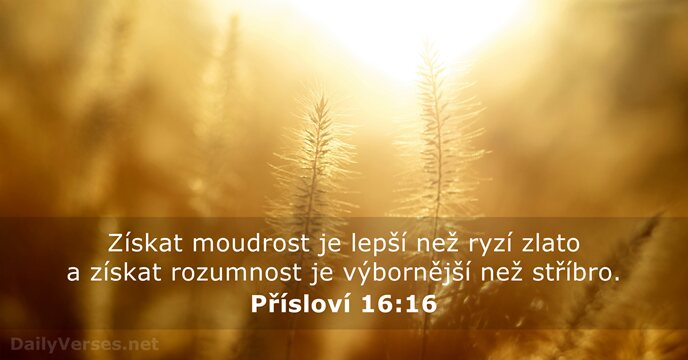 Přísloví 16:16