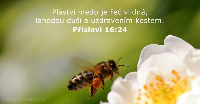 Přísloví 16:24