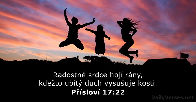 Přísloví 17:22