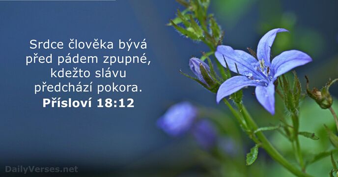 Přísloví 18:12