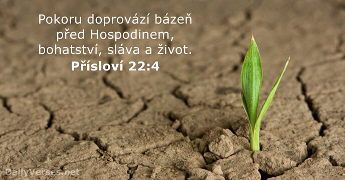 Přísloví 22:4