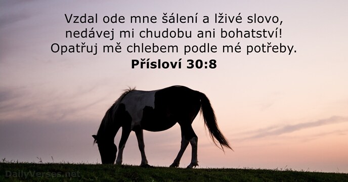 Přísloví 30:8