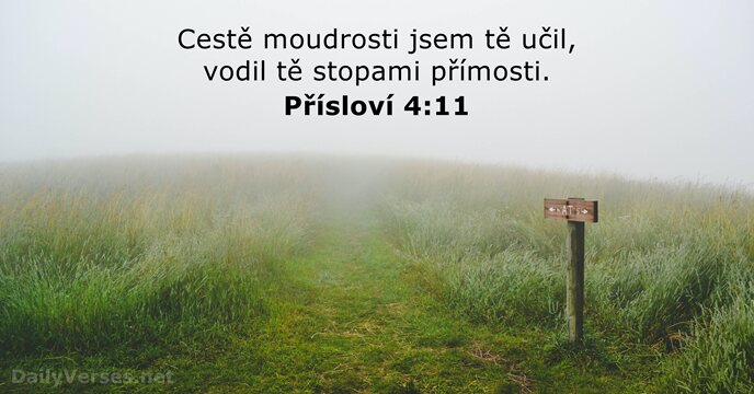 Přísloví 4:11