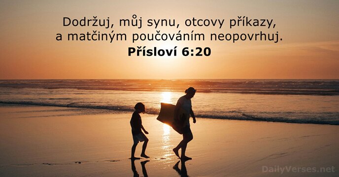 Přísloví 6:20